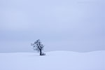 Winterimpressionen