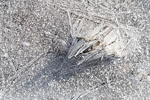 Winterimpressionen