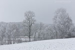 Winterimpressionen