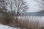 Winterimpressionen