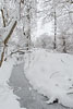 Wald