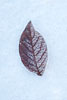 Wald