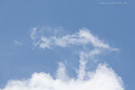 Wolken