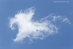 Wolken