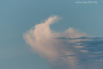 Wolken